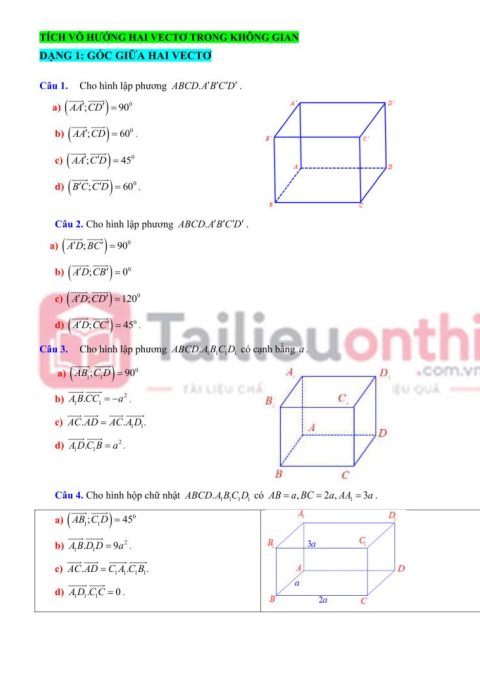 Các Dạng Trắc Nghiệm Đúng Sai Tích Vô Hướng Của Hai Vectơ Trong Không Gian Toán 12