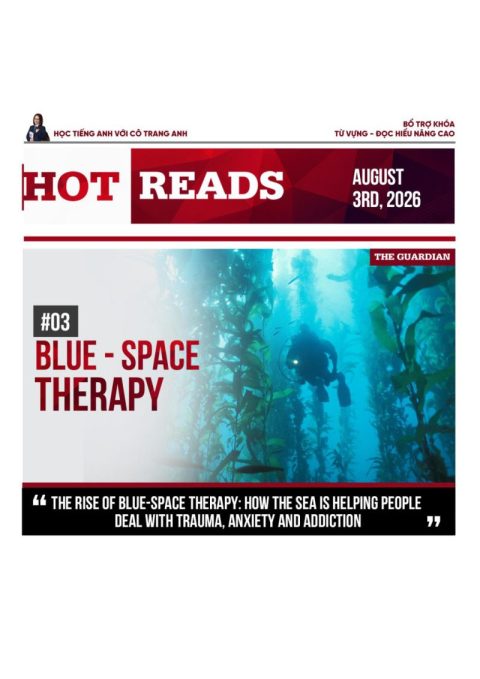 Hot Reads #03 – Bản Design Đẹp – Cô Trang Anh