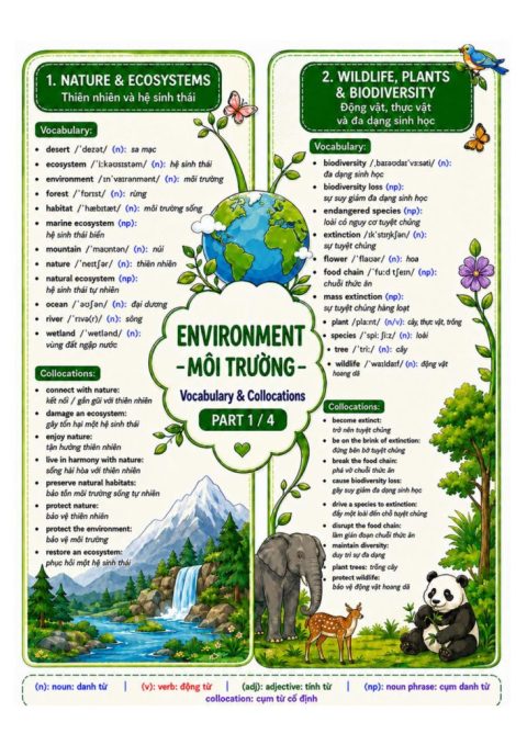 Mindmap Chủ Đề Environment – Cô Trang Anh